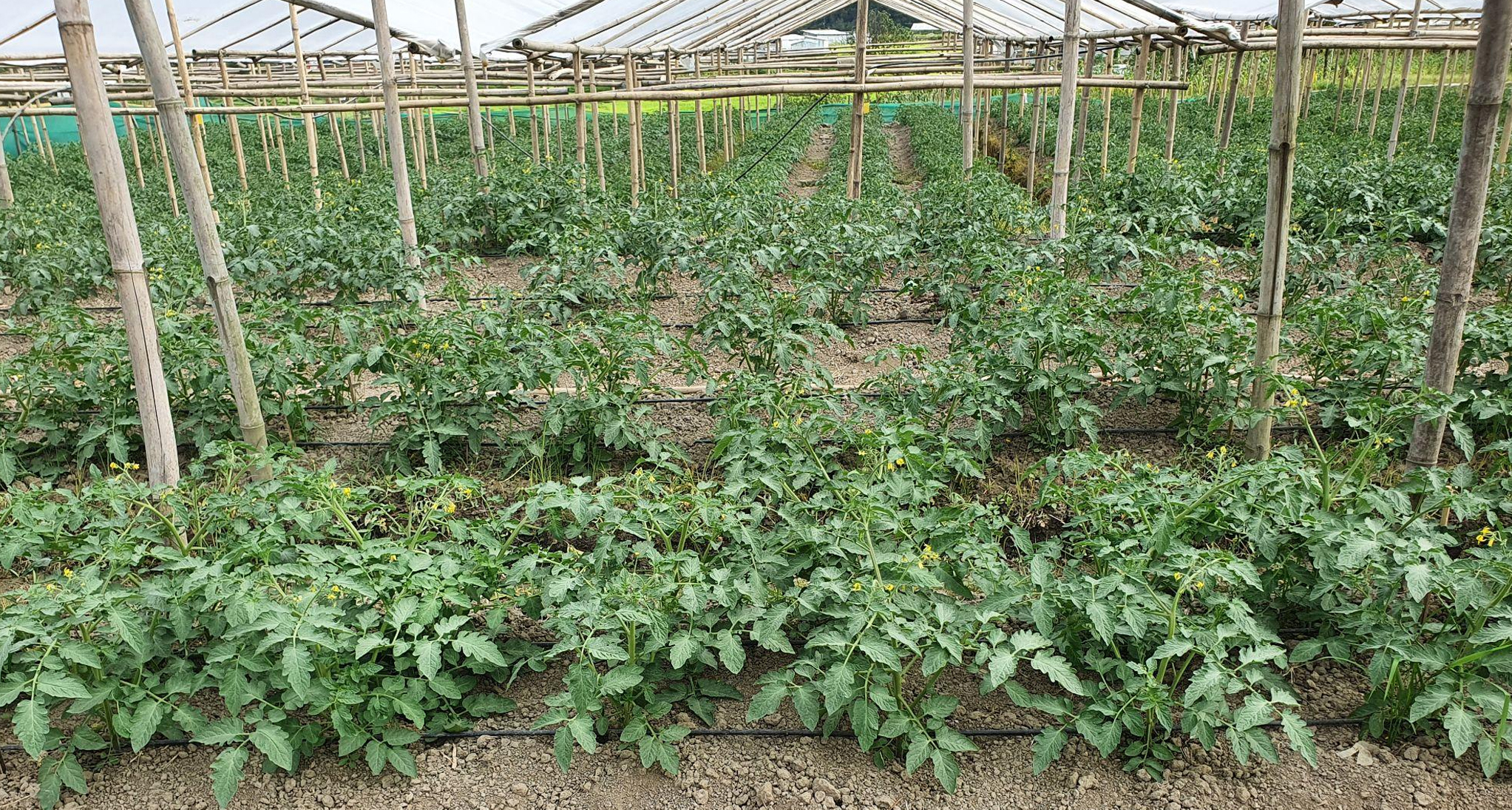 Approved Farms