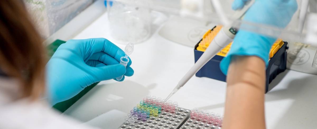 Prepared samples for sap analysis